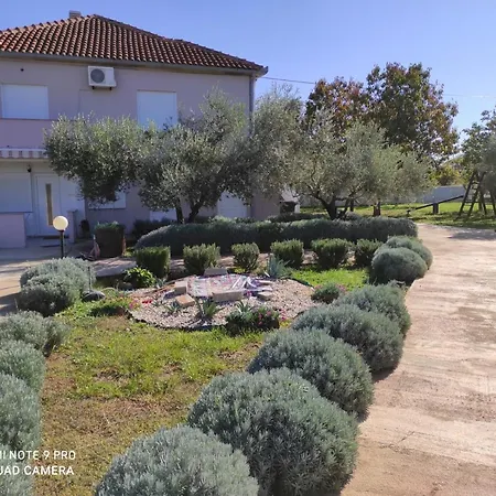 In Zaton Zadar With Balcony, Air Conditioning, W-lan, Washing Machine 4830-1 Appartement *