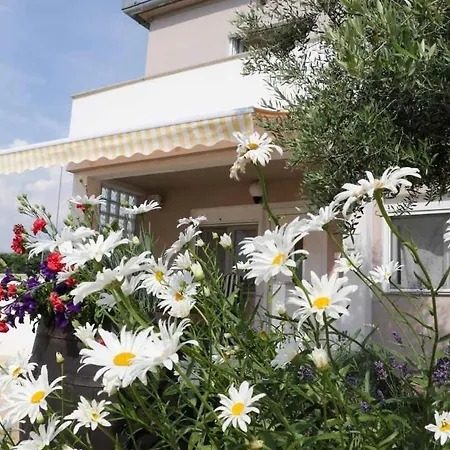 In Zaton Zadar With Balcony, Air Conditioning, W-lan, Washing Machine 4830-1 Appartement Nin