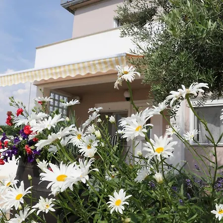 In Zaton Zadar With Balcony, Air Conditioning, W-lan, Washing Machine 4830-1
